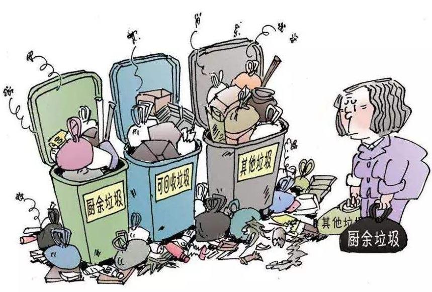 餐厨垃圾高值安全利用刍议